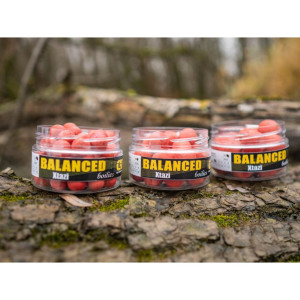 CARP INFERNO Balanced boilie 200ml - Xtazi